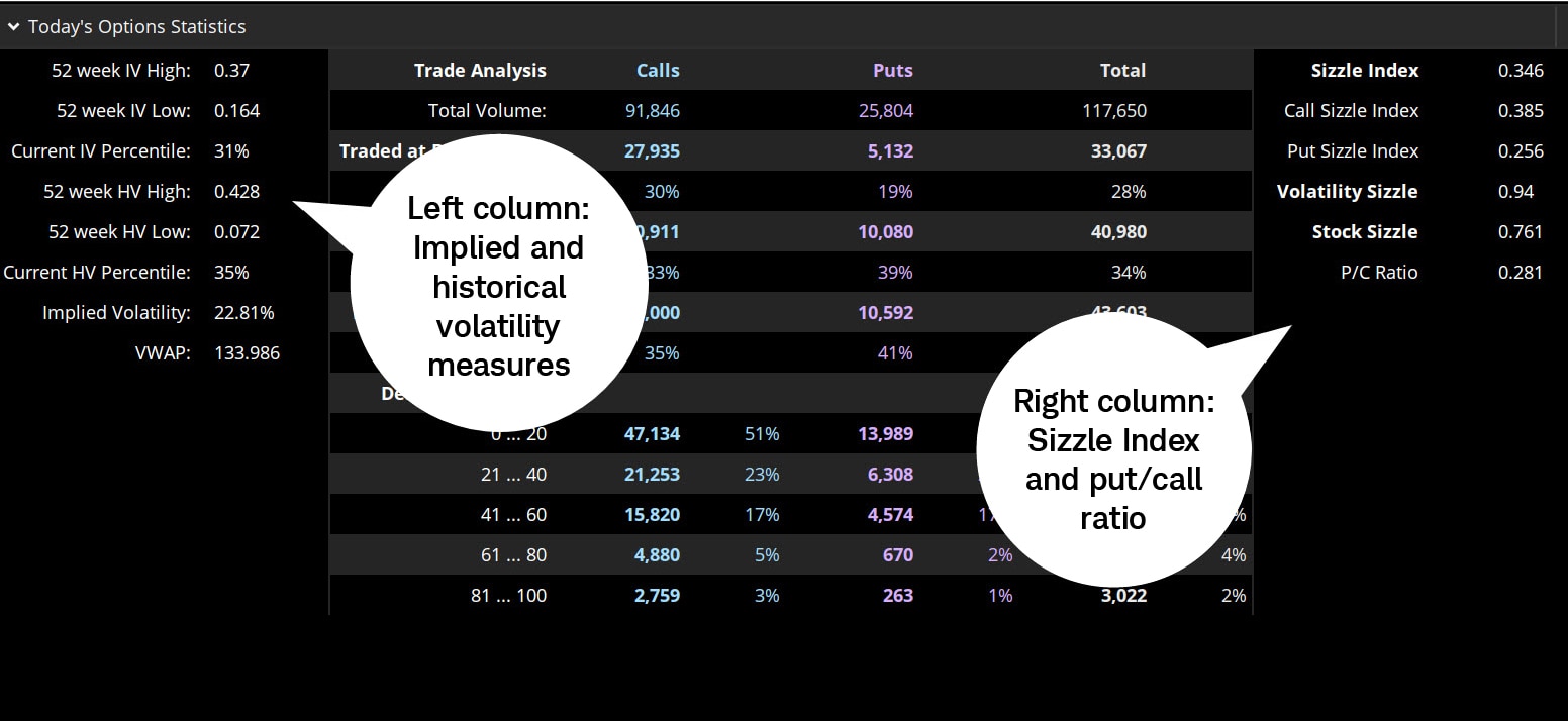 Image demonstrates Today's Options Statistics including implied and historical volatility, the Sizzle Index, and the put/call ratio.